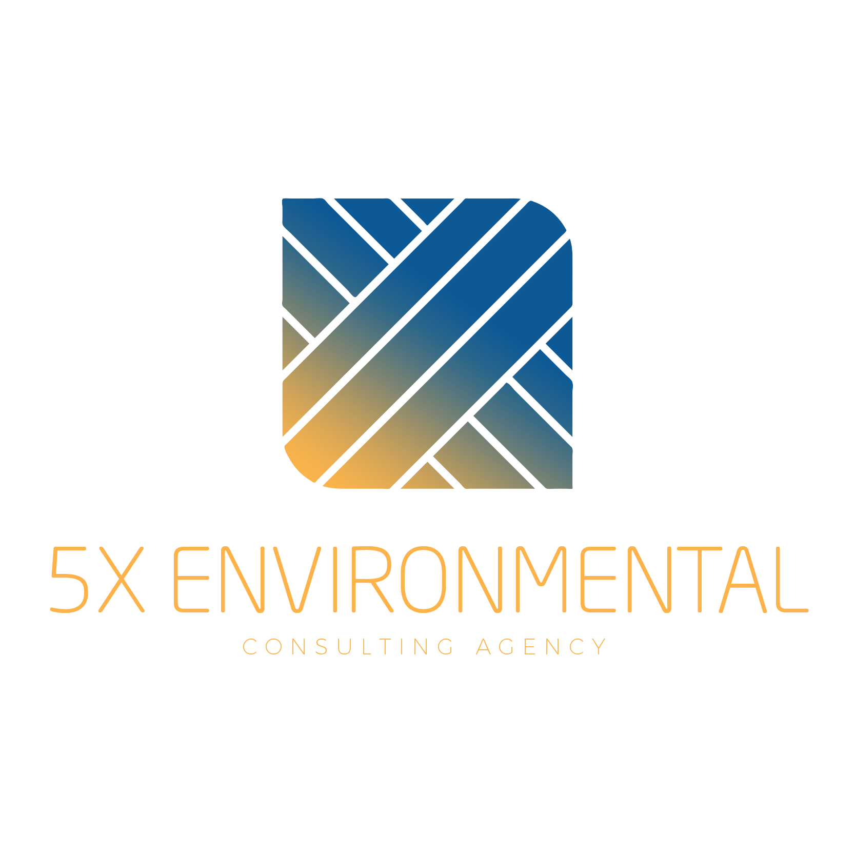 5X ENVIRONMENTAL LLC logo