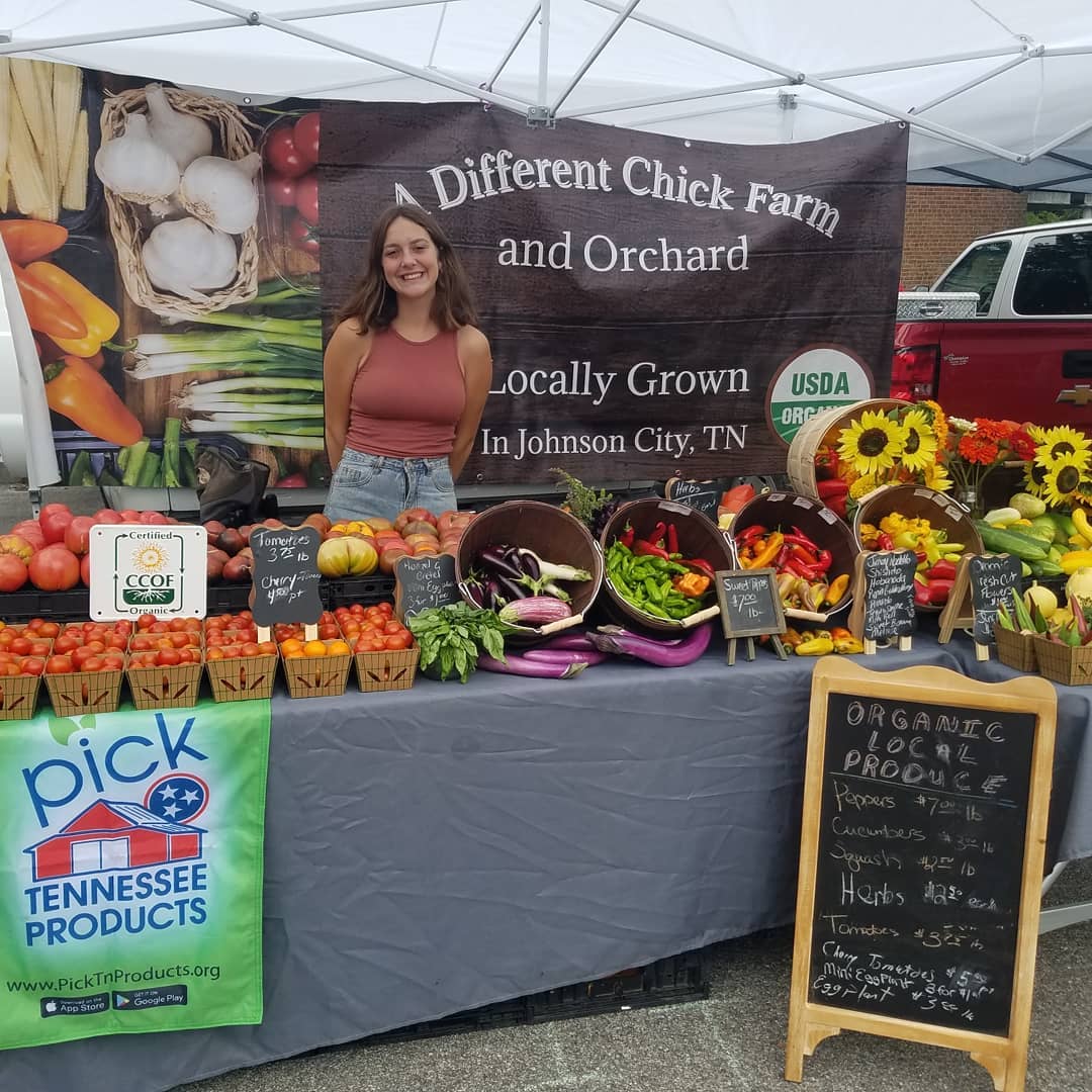 A DIFFERENT CHICK FARM AND ORCHARD logo