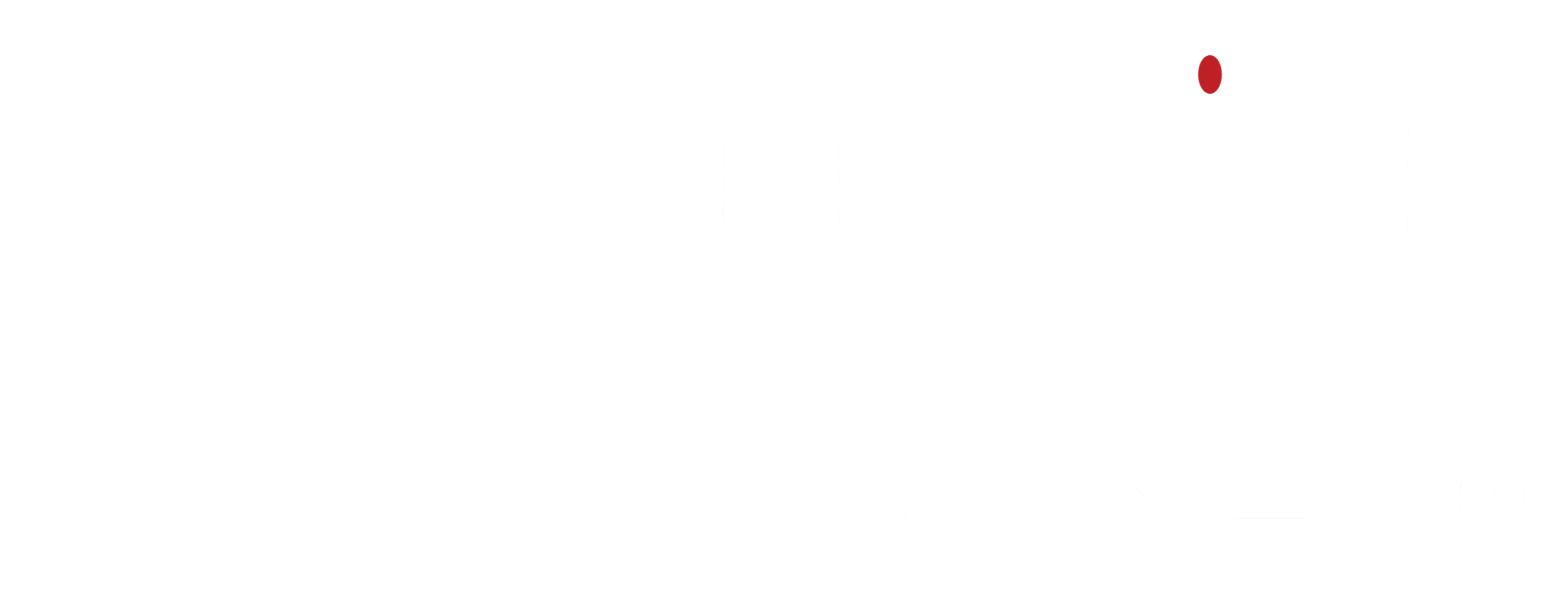 A-MAZING EVENTS, LLC logo