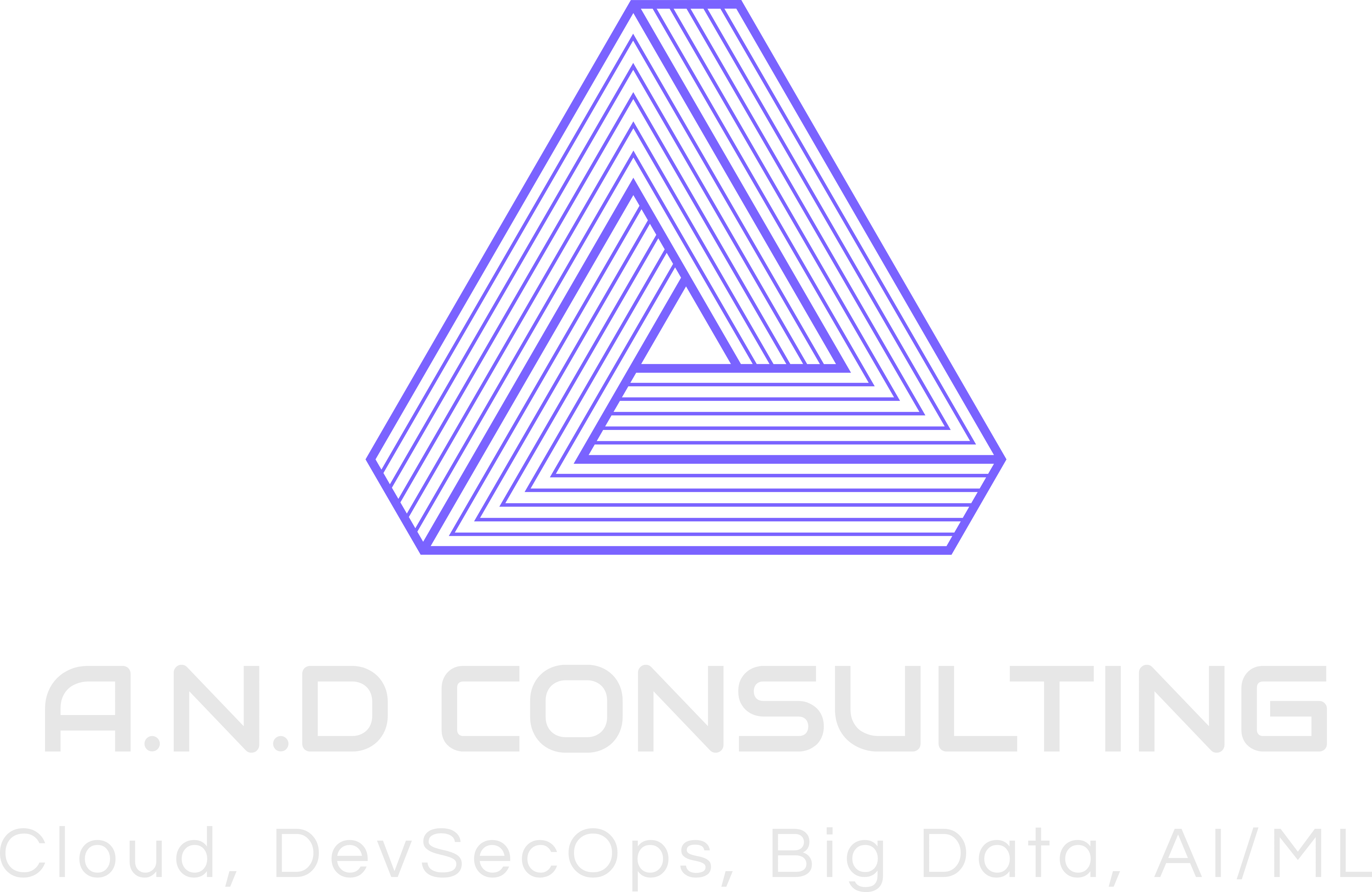 A.N.D. CONSULTING LLC logo