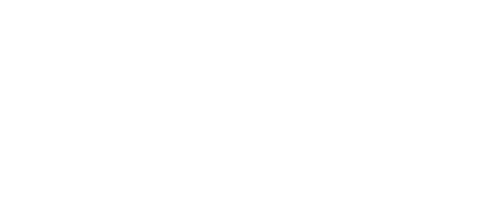 A&O EVALUATION AND STRATEGY logo