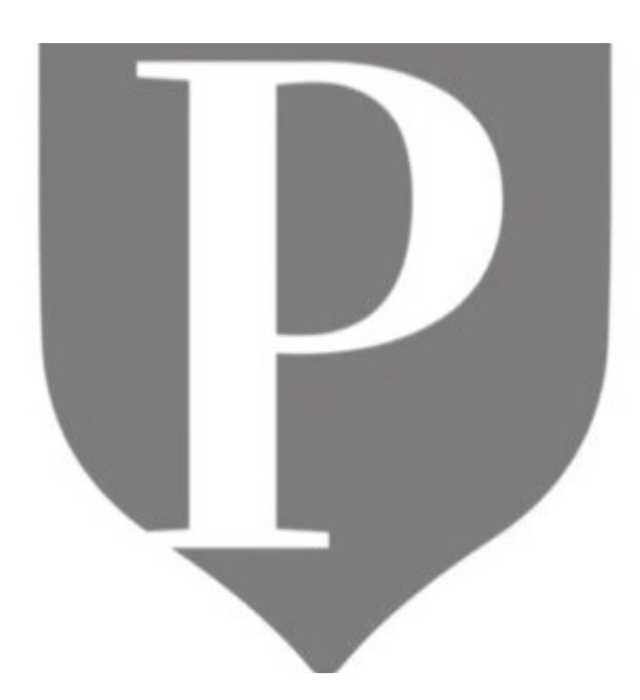 A PLATINUM PLUS LIMOUSINES INC logo