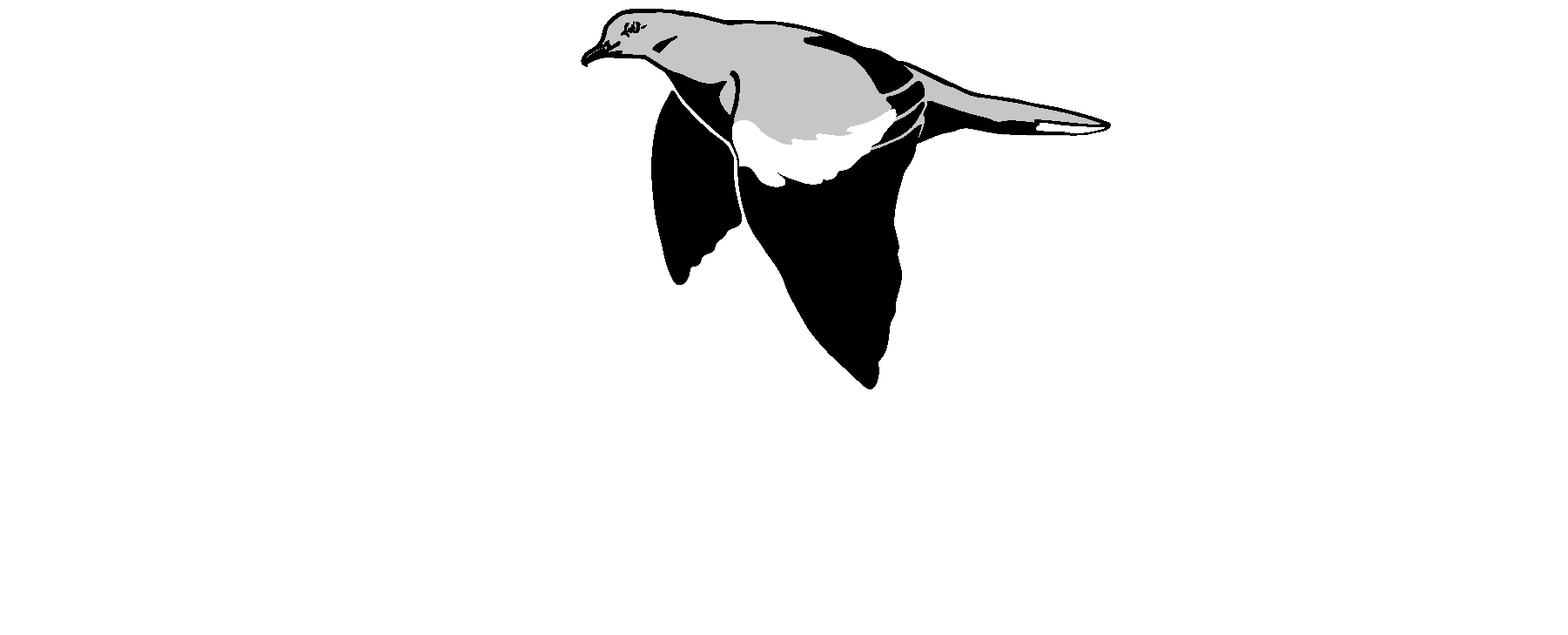 A-PRO TOP CONSTRUCTION INC logo
