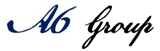 A6 GROUP LLC logo