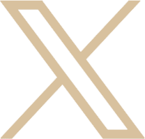 ACCESS ALL SERVICES (AAS) L3C logo