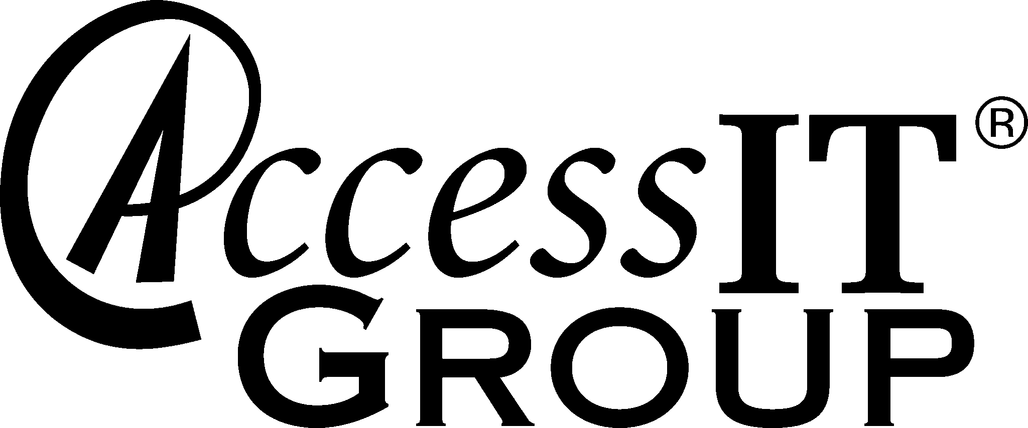 ACCESSIT GROUP, LLC. logo