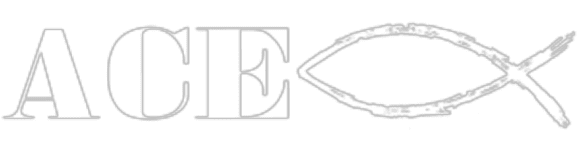 ACE CONSULTING COMPANY, INC. logo