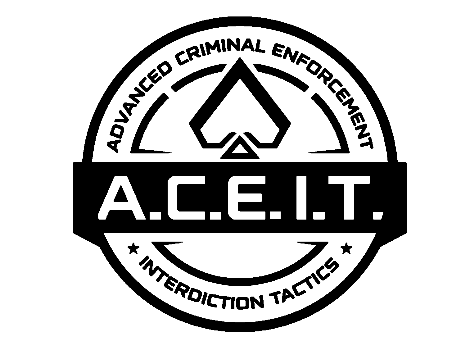 ACE INTERDICTION TACTICS, LLC logo