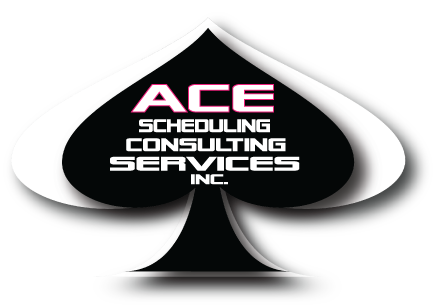 ACE SCHEDULING CONSULTING SERVICES INC logo