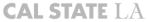 ACEVOX LLC logo