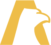 ACKERMAN GROUP logo