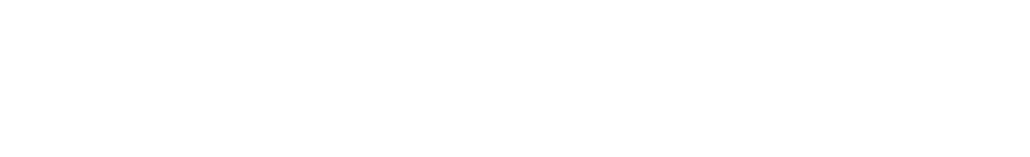 ACTION HEALTH STAFFING INC logo