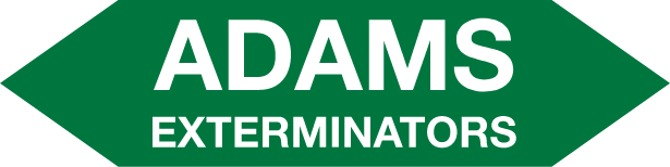 ADAMS EXTERMINATORS INC logo