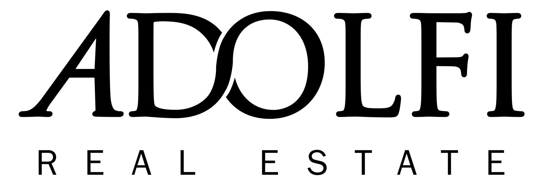 ADOLFI REAL ESTATE INC logo