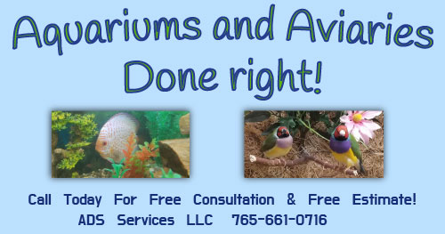 ADS SERVICES LLC logo