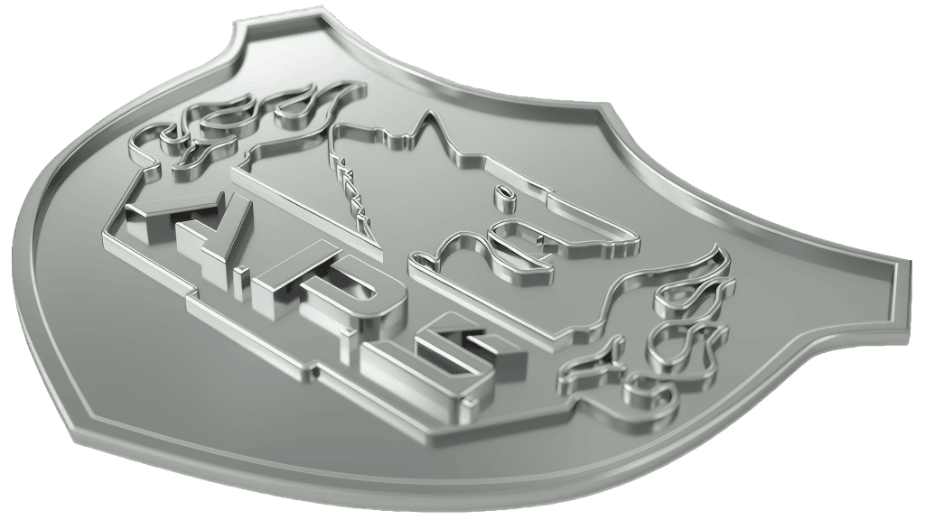 ADVANCED PROTECTION SERVICES, LLC logo