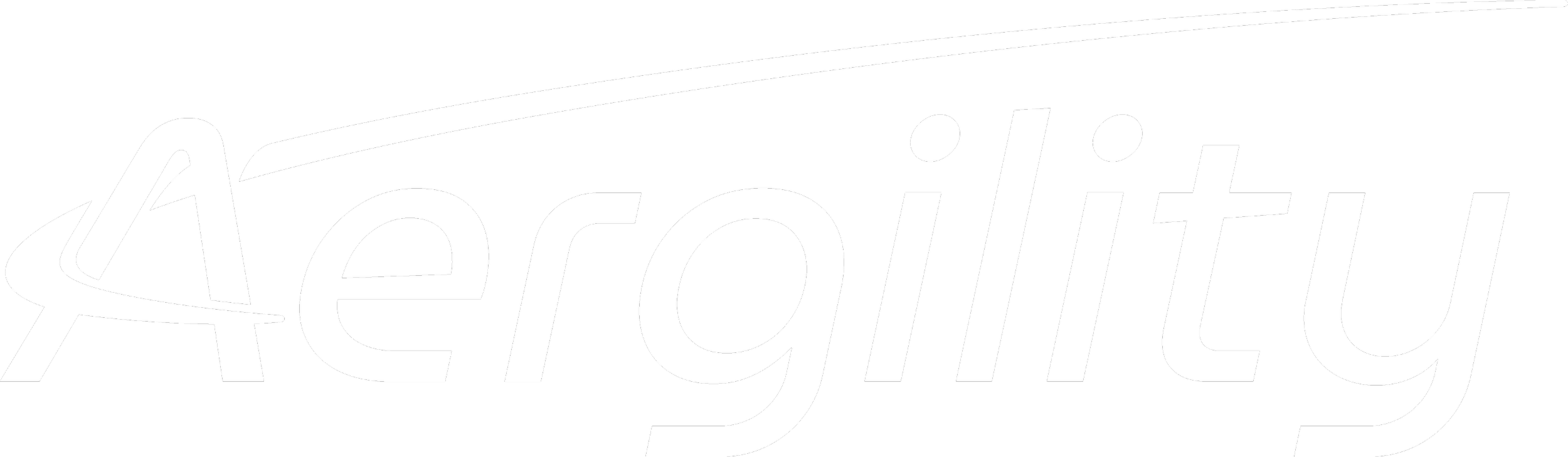 AERGILITY CORP logo