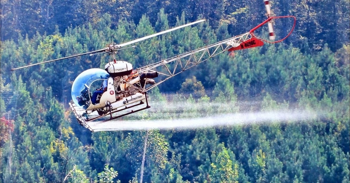 AERIAL FORESTRY SERVICES, LLC logo