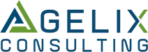 AGELIX CONSULTING LLC logo