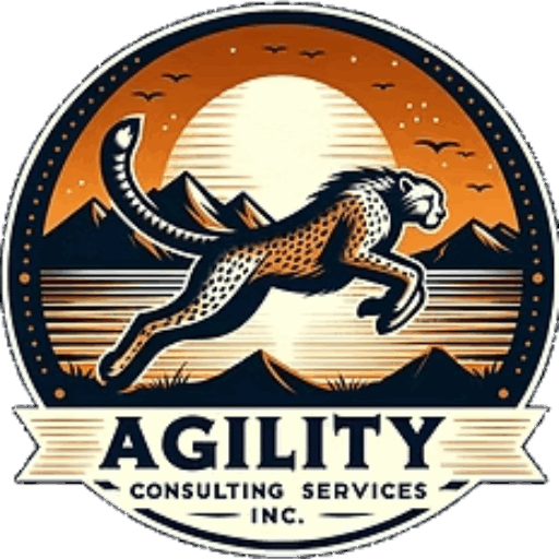 AGILITY CONSULTING SERVICES INC logo