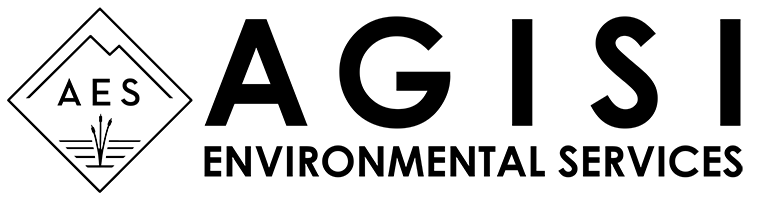 AGISI ENVIRONMENTAL SERVICES, LLC logo