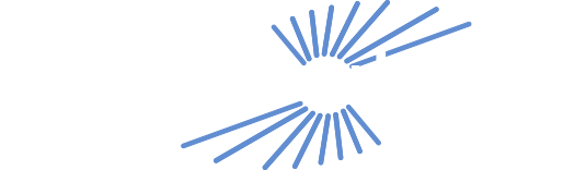 AHNETWORKS INC logo
