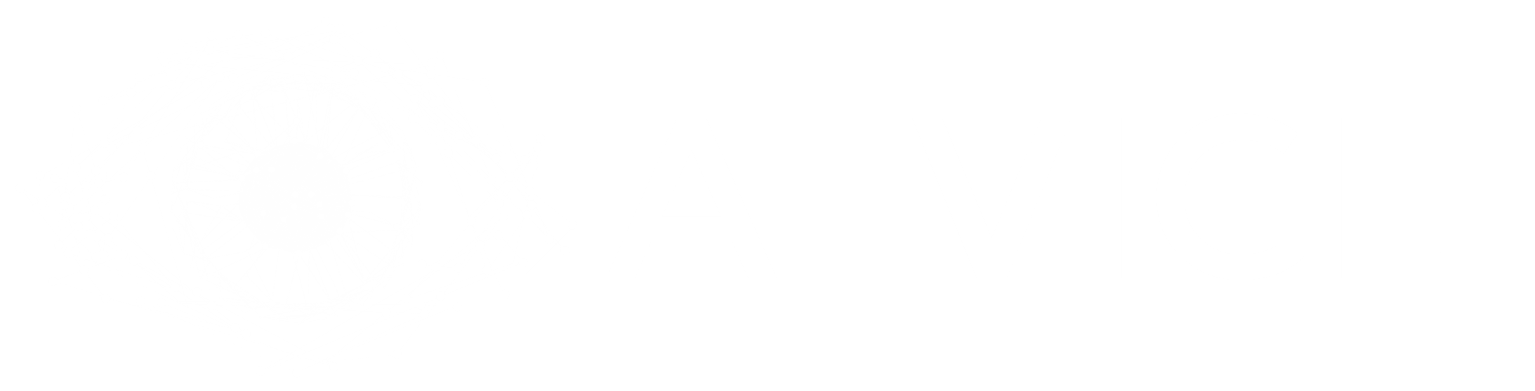 AI VIGIL INC. logo