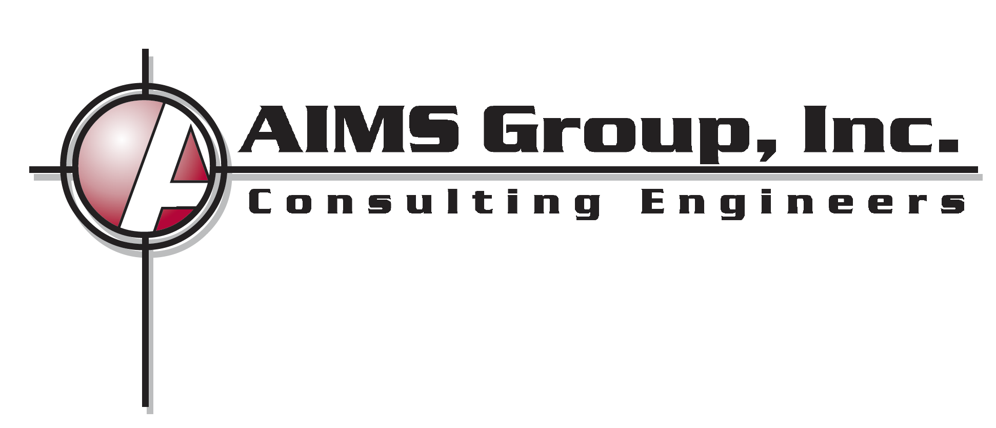 AIMS GROUP INC logo