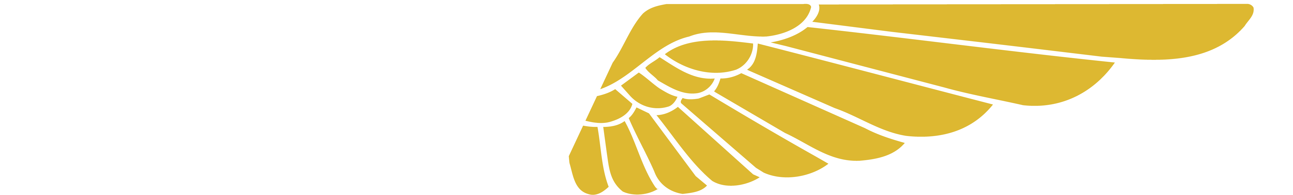 AIRBORNE SYSTEMS NORTH AMERICA OF CALIFORNIA INC logo