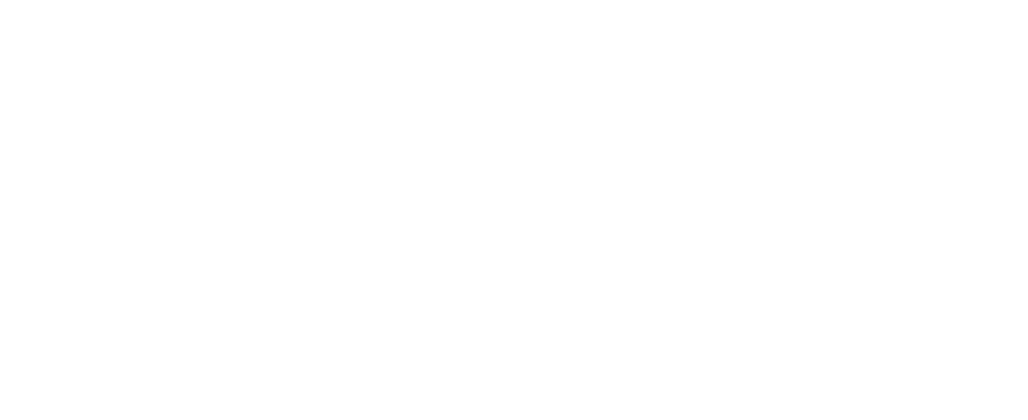 ALI JOST PROFESSIONAL LLC logo