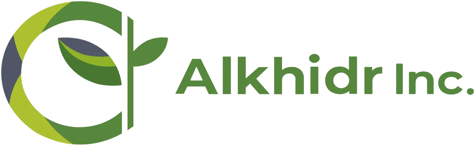 ALKHIDR INC logo