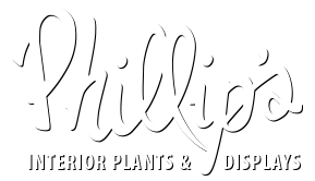 ALL AMERICA-PHILLIP'S, INC logo