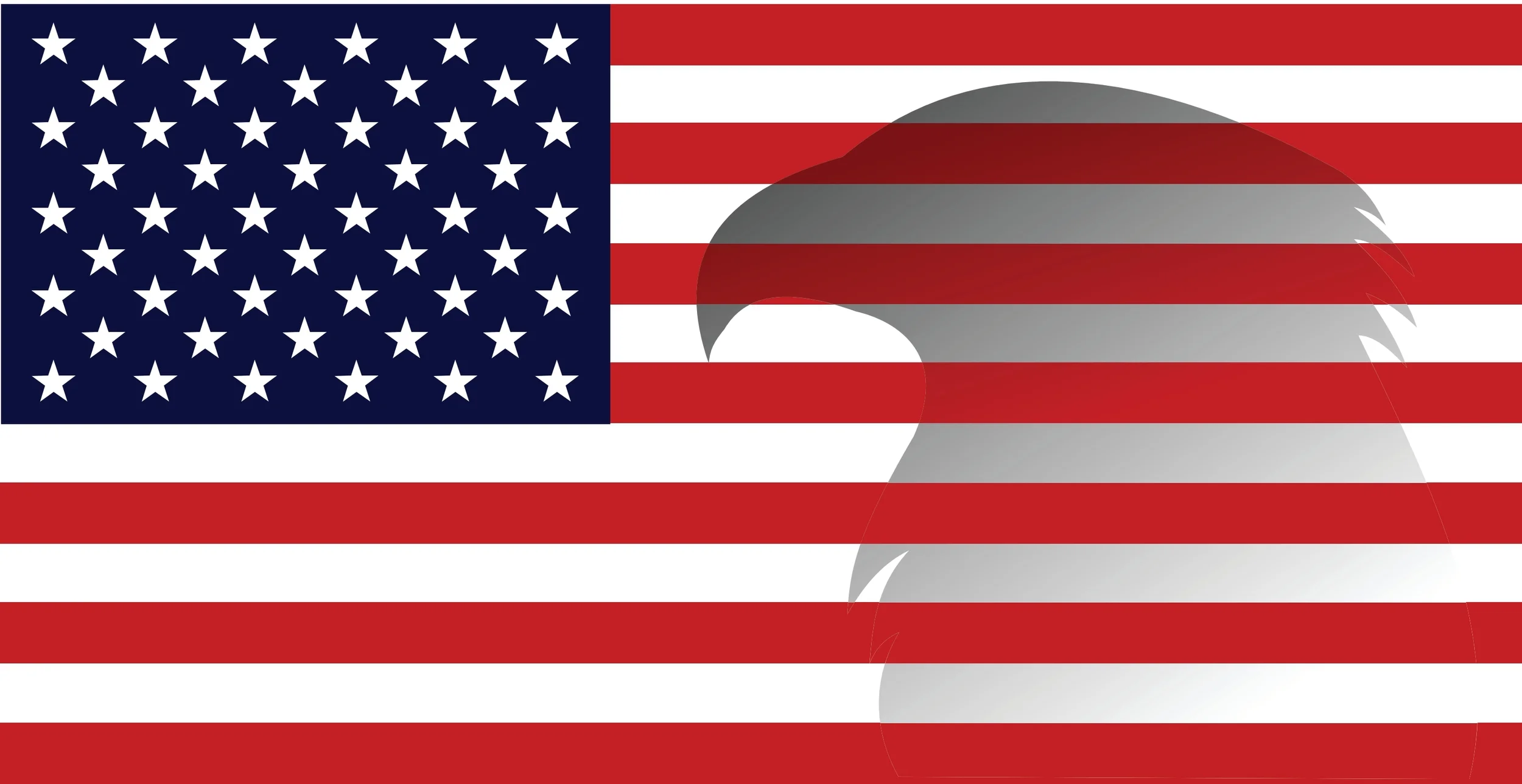 ALL-AMERICAN FORWARDING, INC. logo