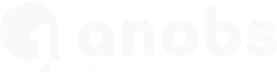 ALL-N-ONE BUSINESS SERVICES LLC logo