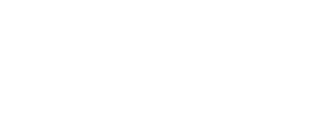 ALLIANCE OF PROFESSIONALS & CONSULTANTS INC logo