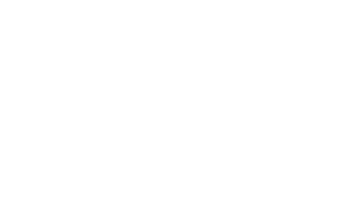ALLWAYZMAGS LLC logo