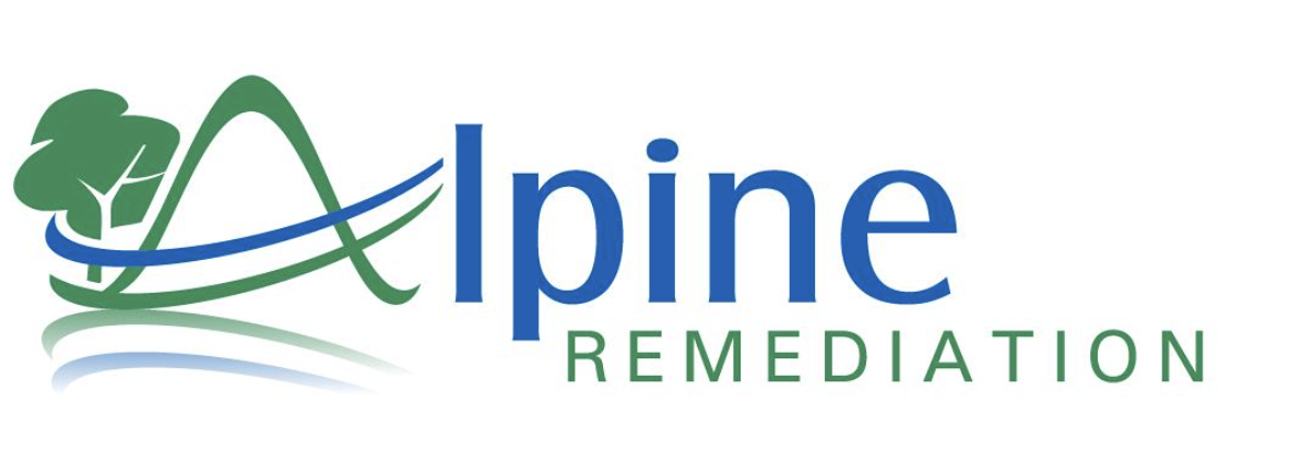 ALPINE REMEDIATION INC logo