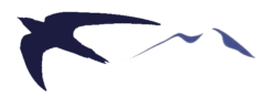 ALPINE SWIFT INC logo