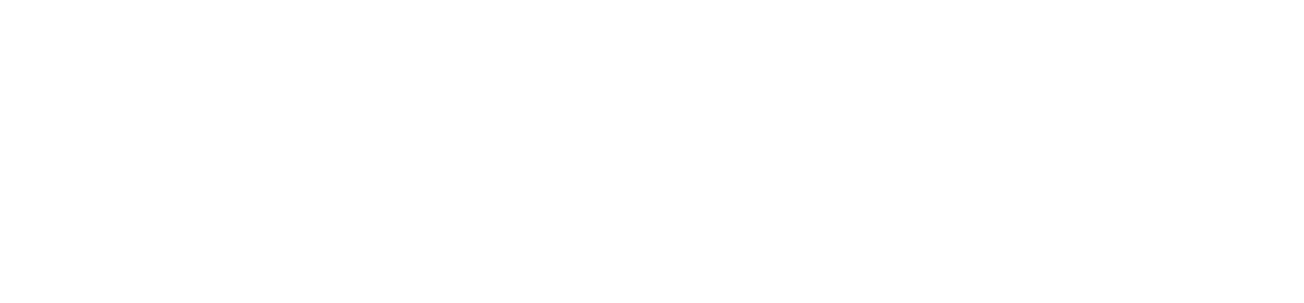 ALTERNATIVE HOSE INC logo
