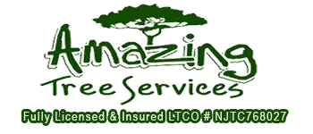 AMAZING TREE SERVICES LLC logo