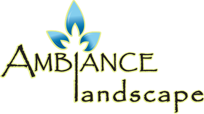 AMBIANCE LANDSCAPE LLC logo