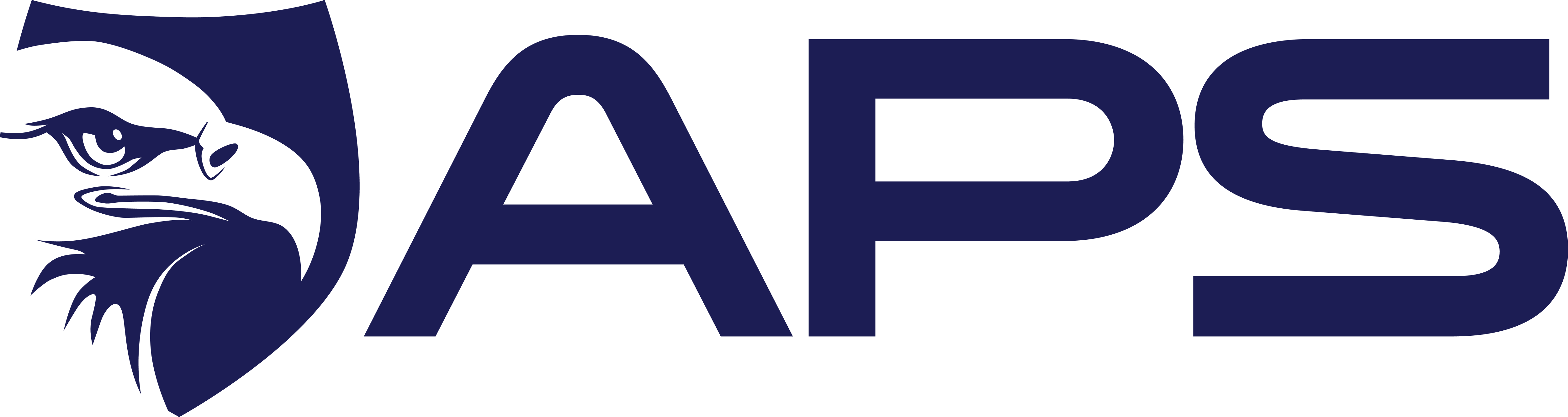 AMERICA PROTECTIVE SECURITY LLC logo