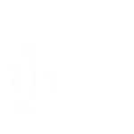 AMERICAN AUTO WHOLESALE, INC logo