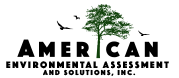 AMERICAN ENVIRONMENTAL ASSESSMENT & SOLUTIONS INC logo