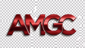AMERICAN MINORITY GENERAL CONTRACTORS LLC logo