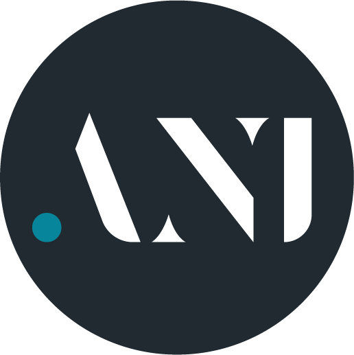 AMERICAN NEGOTIATION INSTITUTE LLC logo