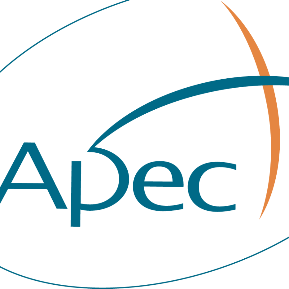 AMERICAN PERSIAN ENGINEERING AND CONSTRUCTION LLC logo