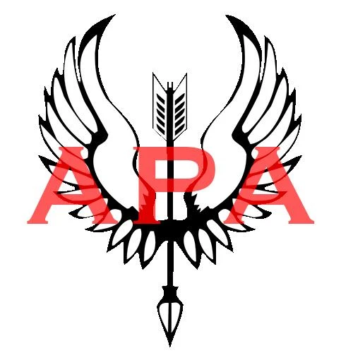 AMERICAN PRECISION ARMS LLC logo