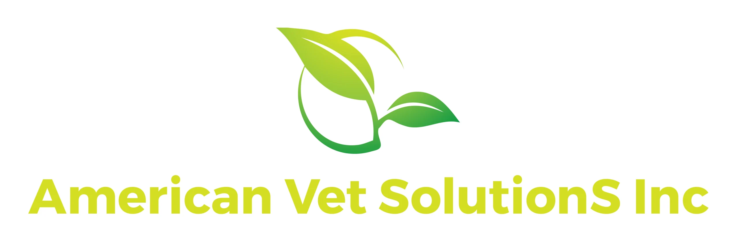 AMERICAN VET SOLUTIONS INC logo