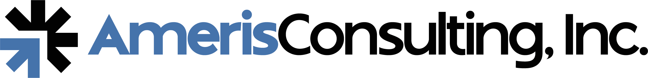 AMERIS CONSULTING, INC logo
